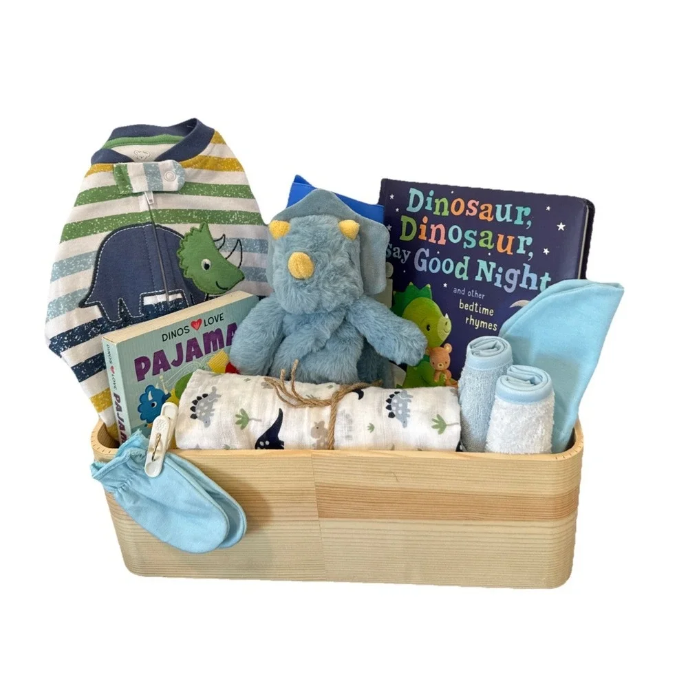 Baby Boy Shower Dinosaur Themed Gift Basket, Blanket, Plush, Books Clothes Etc.
